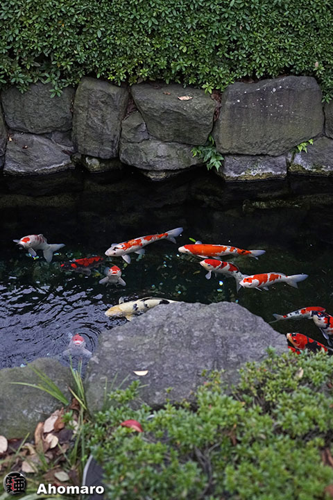 写真00