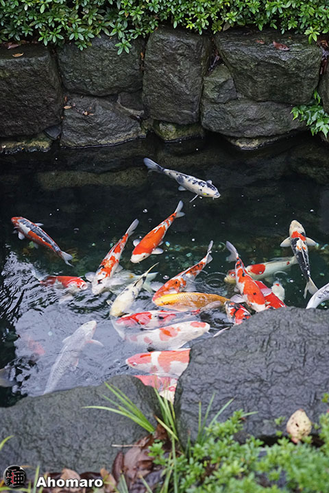 写真00