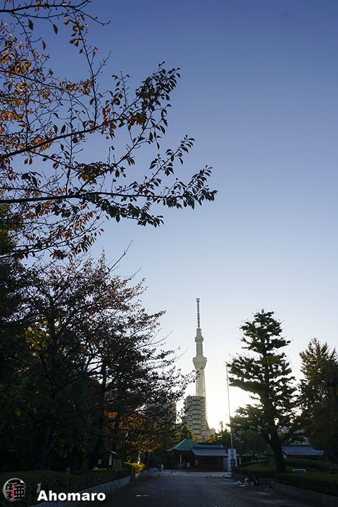写真00