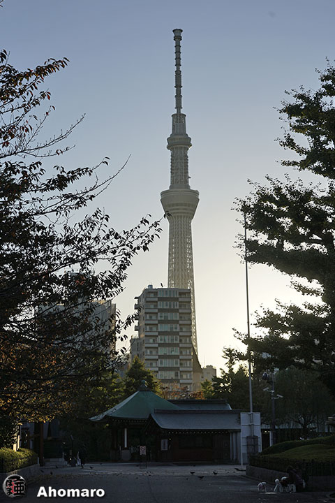 写真00