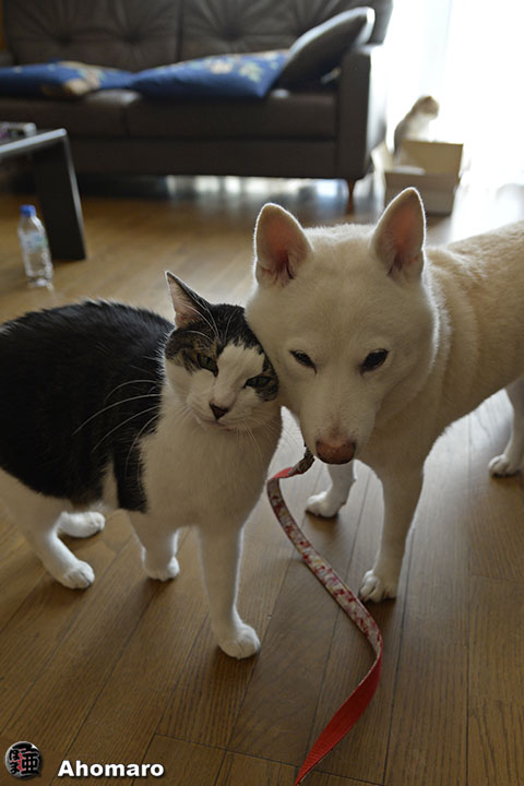 写真00