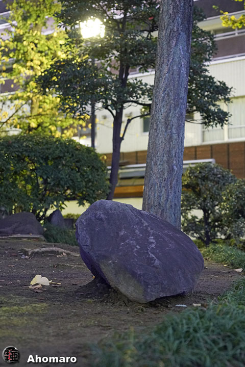 写真00