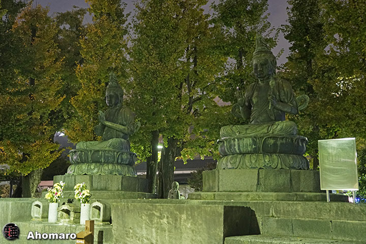 写真00