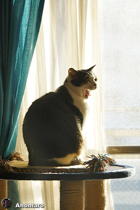ʐ^00