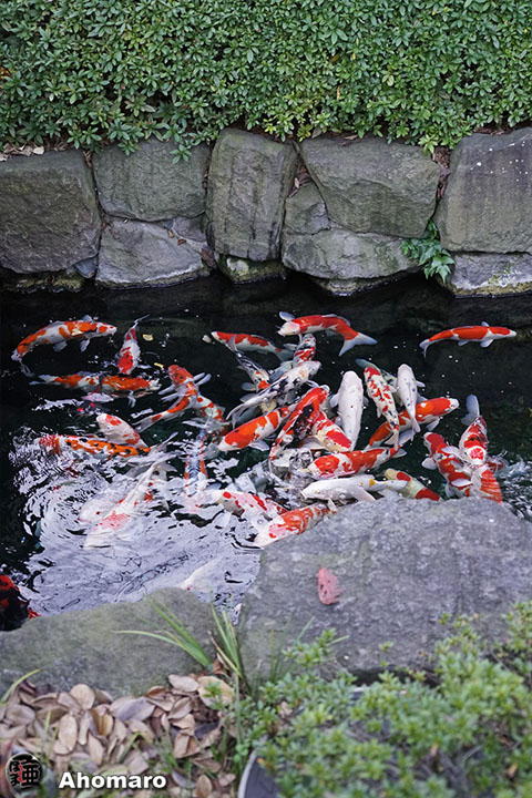 写真00