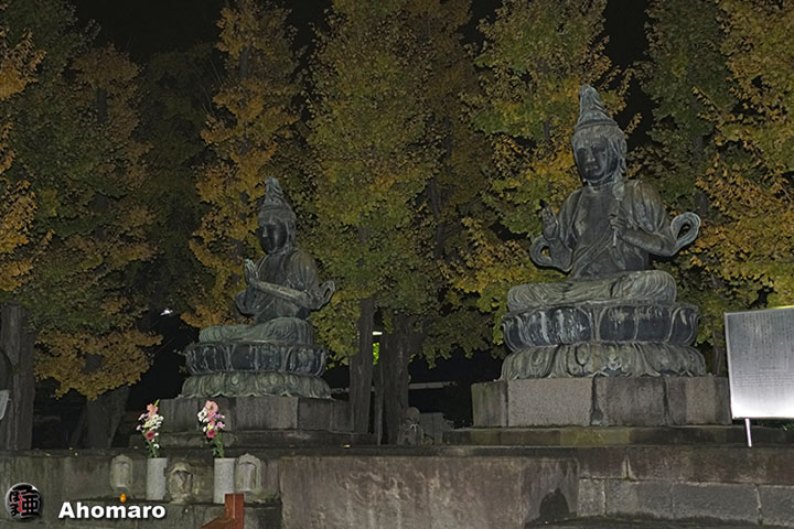 写真00