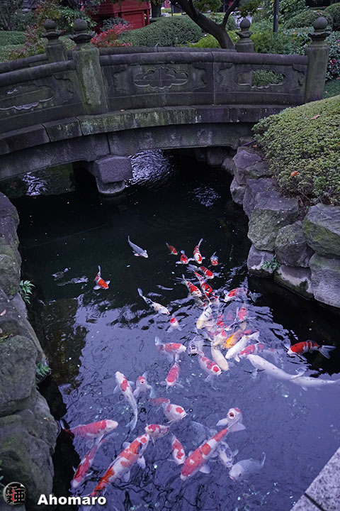 写真00