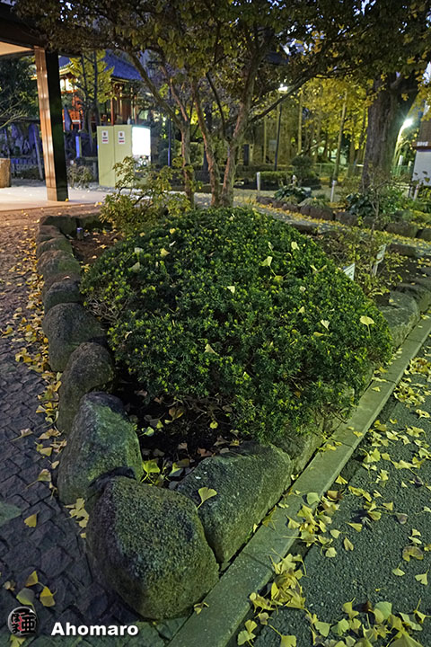 写真00