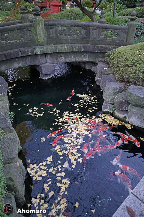 写真00