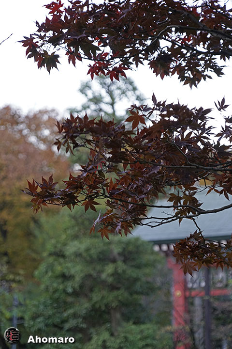 写真00