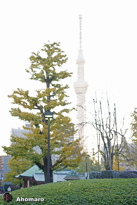 写真00