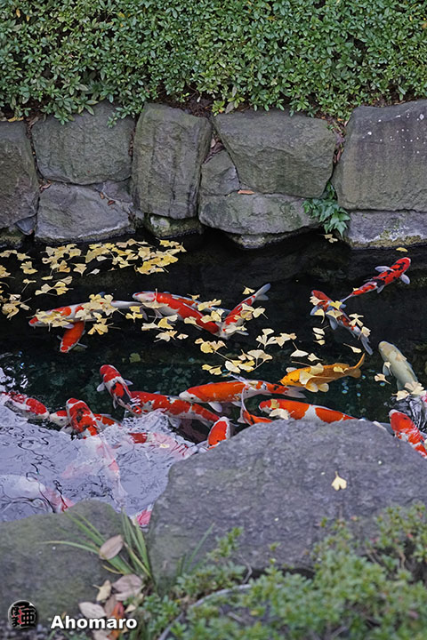 写真00