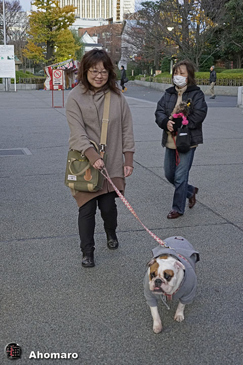 写真00