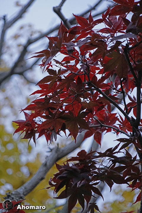 写真00