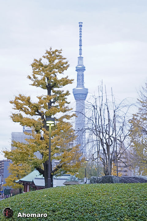 写真00