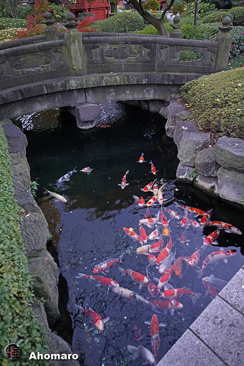 写真00