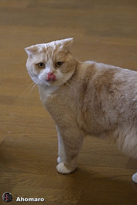 ʐ^00