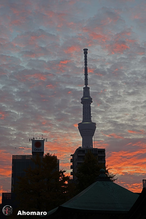 写真00