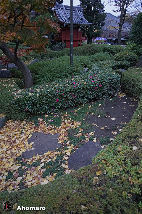 写真00