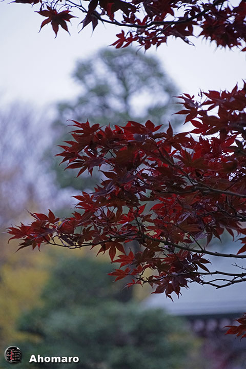 写真00