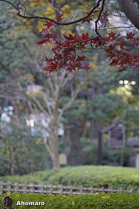 写真00