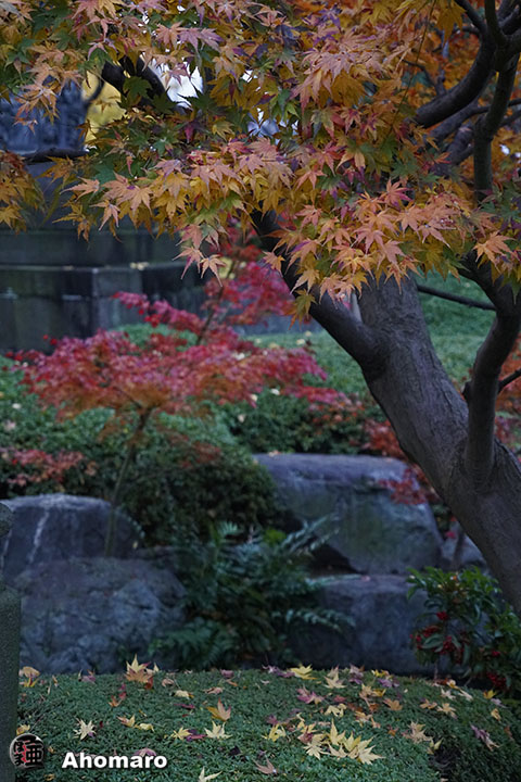写真00