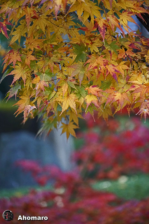 写真00