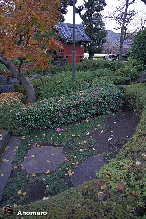 写真00