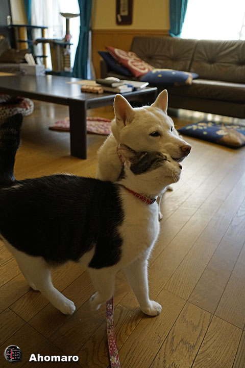 写真00