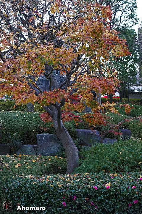 写真00