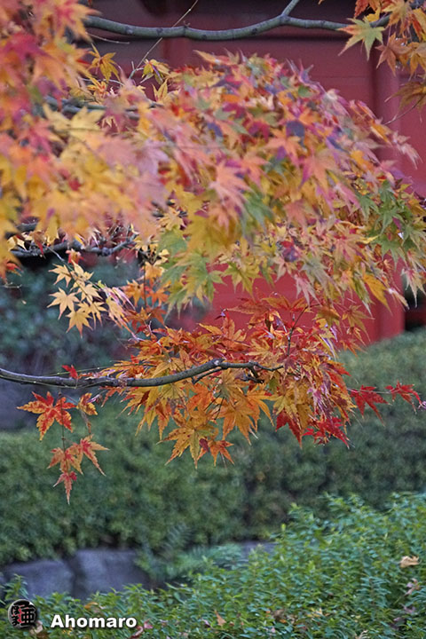 写真00
