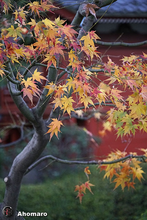 写真00