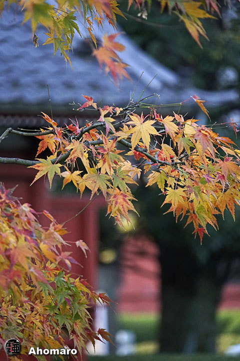 写真00