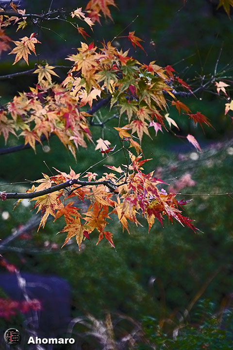 写真00