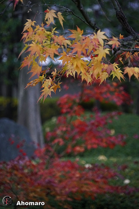 写真00