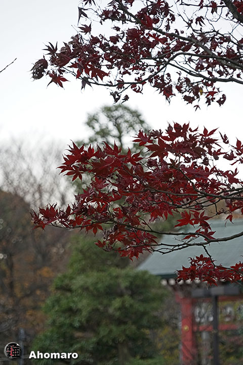 写真00