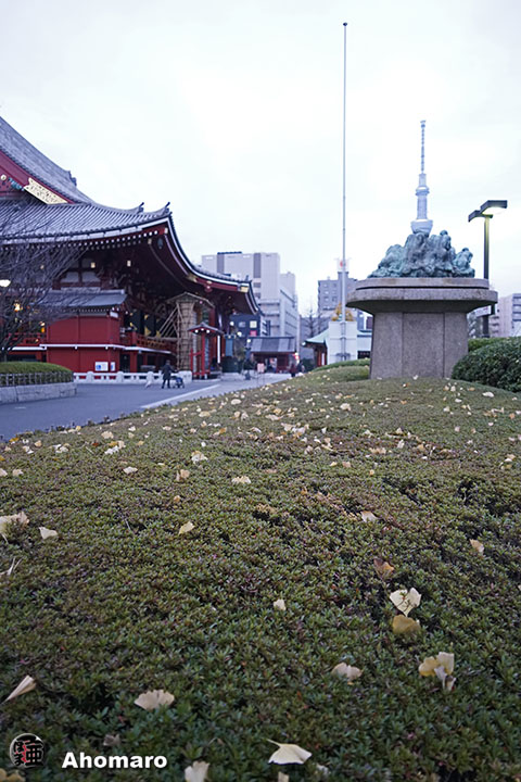 写真00