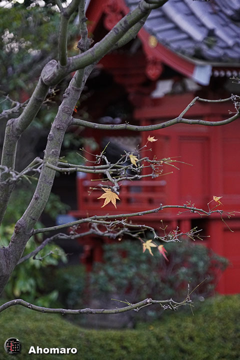 写真00