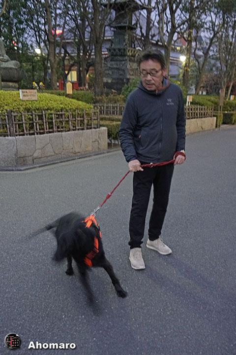 ʐ^00
