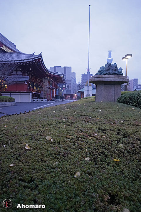 写真00