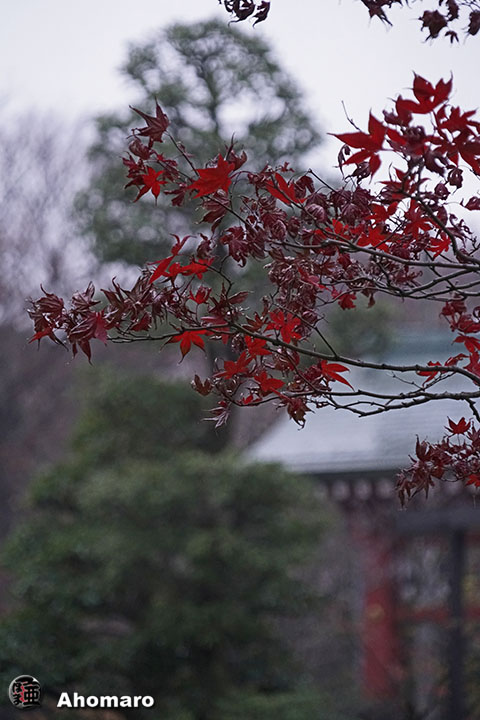 写真00