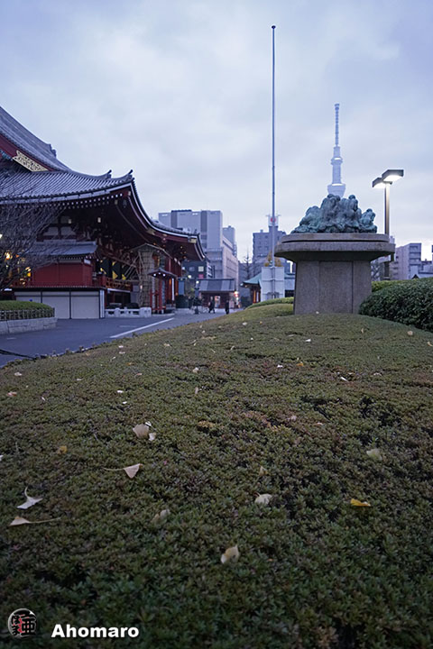 写真00