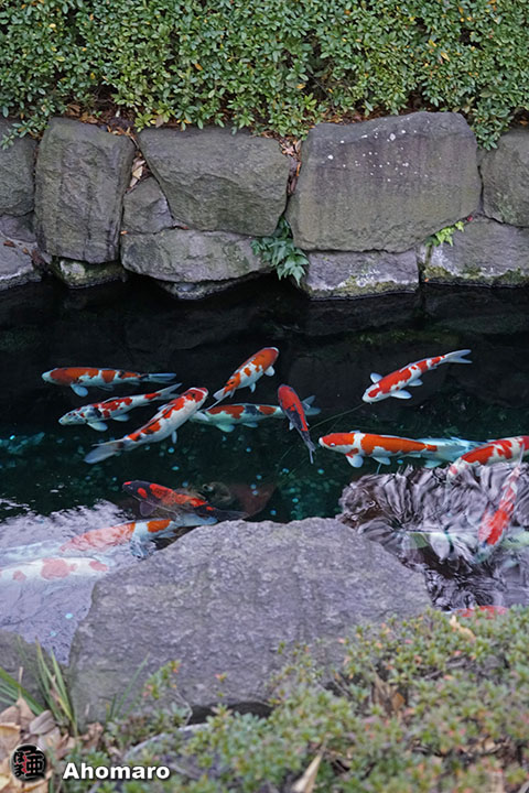 写真00