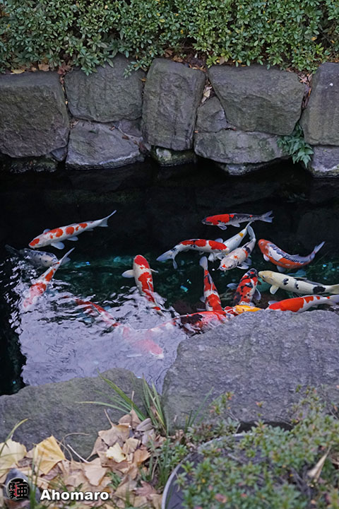 写真00