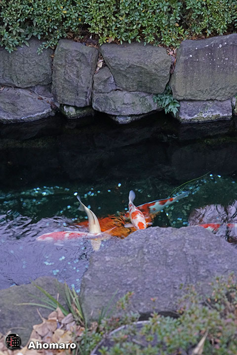 写真00