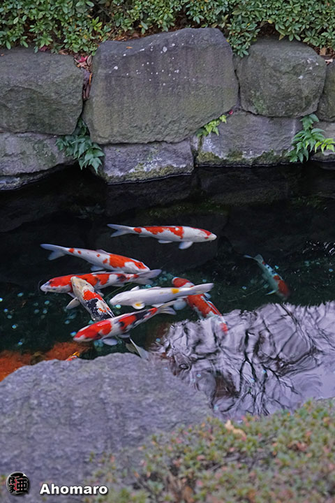 写真00