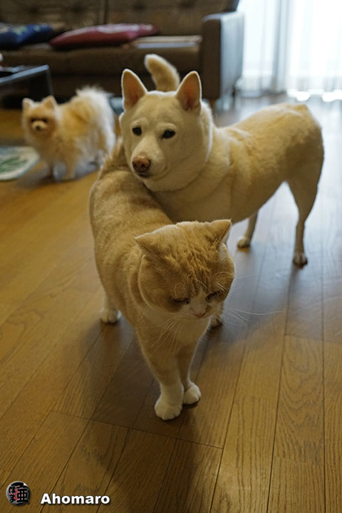 写真00