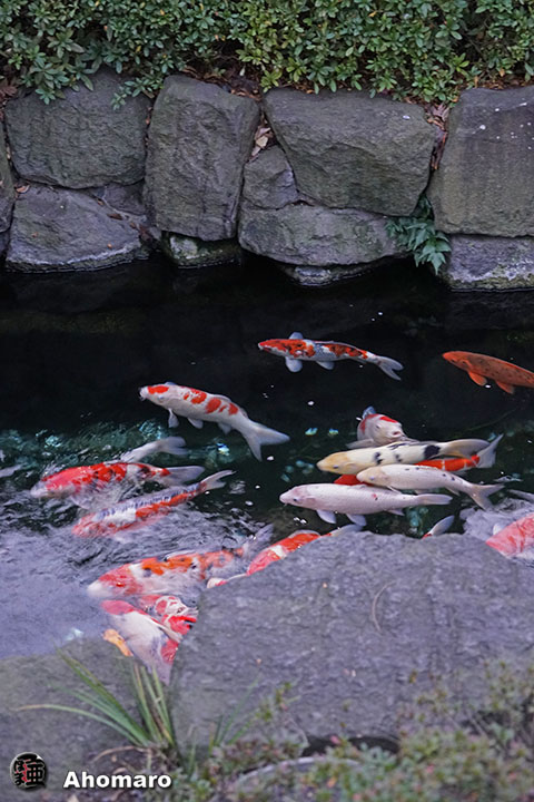 写真00