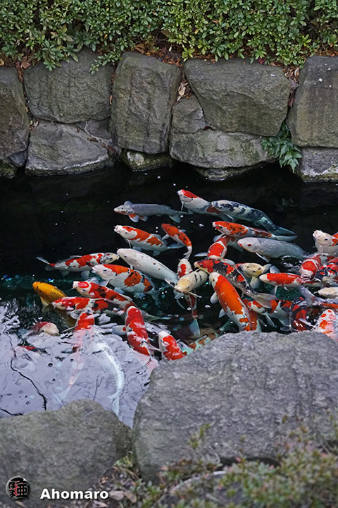 写真00