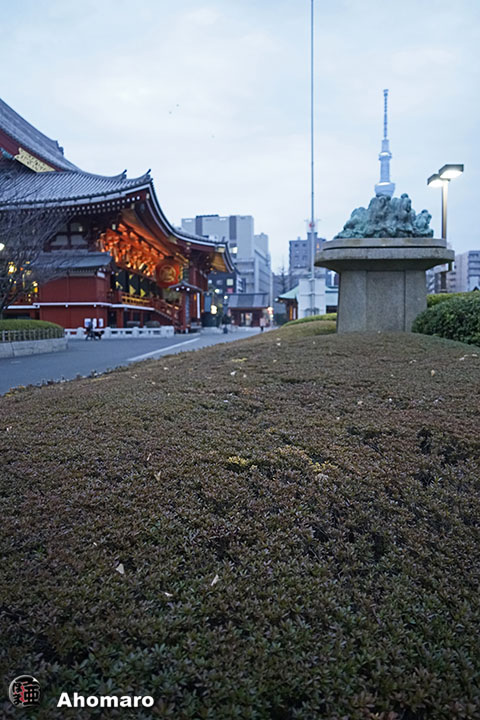 写真00